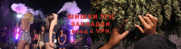 тгк Дмитров