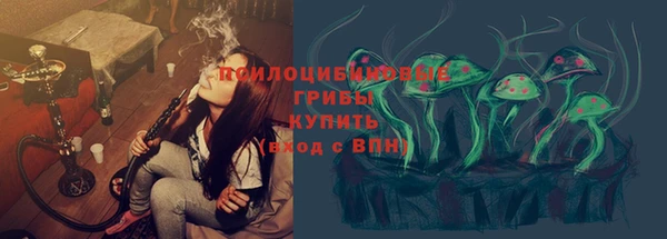 тгк Дмитров