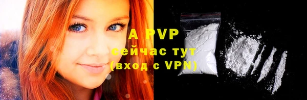 тгк Дмитров