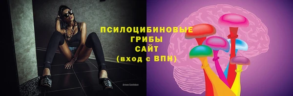 стафф Дмитровск