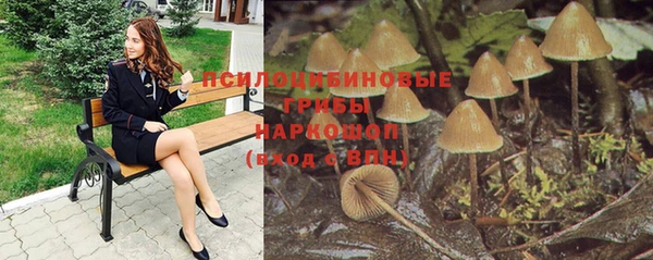 тгк Дмитров
