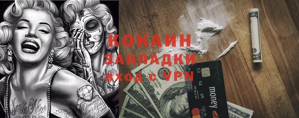 стафф Дмитровск