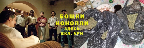 тгк Дмитров