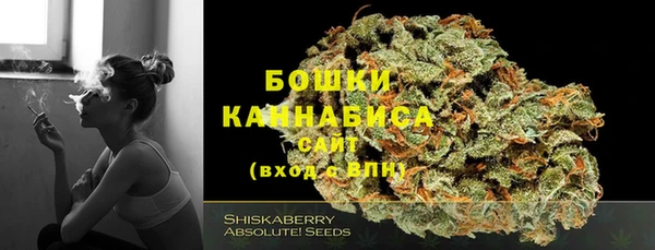 стафф Дмитровск