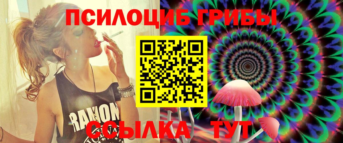 Заволжье  Галлюциногенные грибы MAGIC MUSHROOMS  Вход с VPN 