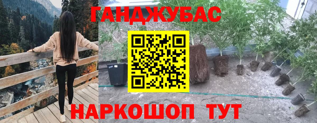 Шишки марихуана тримм Заволжье