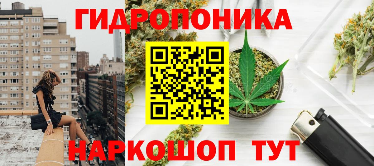 Конопля SATIVA & INDICA  Вход с VPN  Бошки марихуана OG Kush  Заволжье  Бошки марихуана планчик 